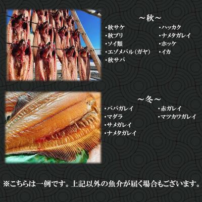 ふるさと納税 新ひだか町 北海道産 旬のお魚 4〜5種 お楽しみ詰め合わせ セット