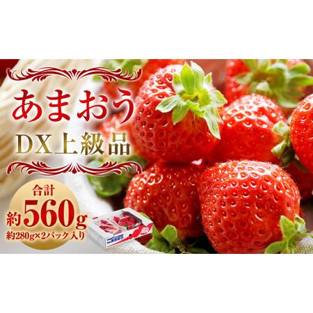 ふるさと納税 福岡県産 博多あまおう DX 上級品 約560g (約280g×2パック入り) いちご 苺 福岡県直方市