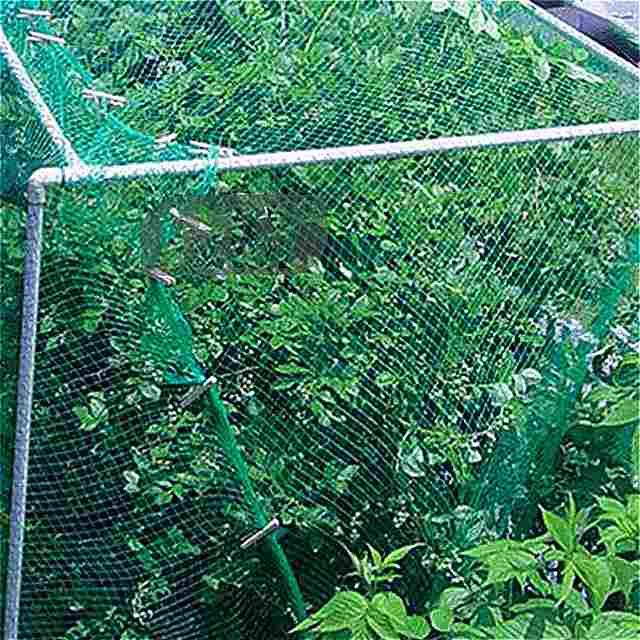 庭 の 植物 のための 鳥 の 保護 メッシュ 緑 防虫 剤 苗の花 果物の木 再利用可能 な 野菜 の 齧歯 動物 フェンス