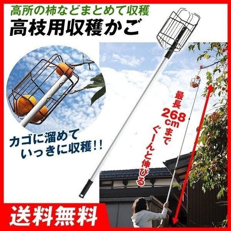 お庭の柿採りバスケット 1台 高枝用収穫かご 最長268cm 国華園 通販 LINEポイント最大0.5%GET LINEショッピング