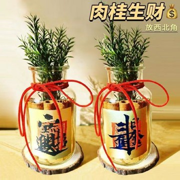 肉桂生財擺件裝飾布置新年客廳新房子喬遷之喜開業擺件發財瓶玻璃