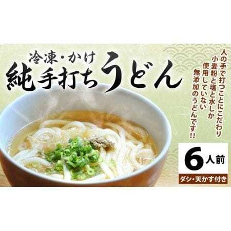 ふるさと納税 純手打ち 冷凍うどん 6人前 (冷凍うどん・かけうどんダシ・天かす付) 宮崎県えびの市