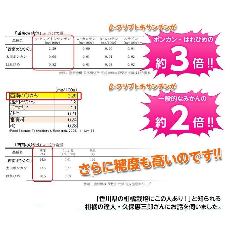 訳あり品 『西南のひかり』 香川県産 柑橘 約5kg S〜2Lサイズ ※常温 送料無料