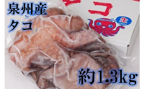 大阪産 泉タコ(生たこ）1.3kg_NA30