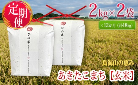 《定期便》4kg×12ヶ月 秋田県産 あきたこまち 玄米 2kg×2袋 神宿る里の米「ひの米」（お米 小分け 1年）