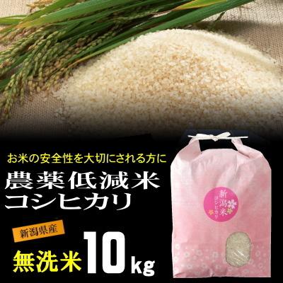 無洗米 農薬低減米 コシヒカリ 10kg 米 お米   低農薬 新潟 岩船産 令和5年産 新米   人気 おいしい 新潟米 こしひかり 送料無料