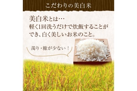 令和5年産 新米 美白精米 丹後こしひかり 3kg(2合×10) 1等米