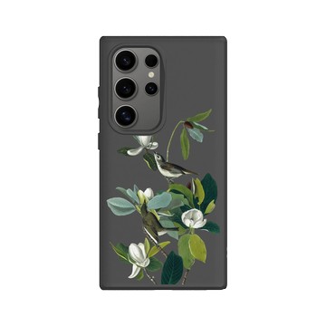 Galaxy S24 Ultra SolidSuit 黑 - The British Library - 美洲鳥譜 ‧ 歌鶲