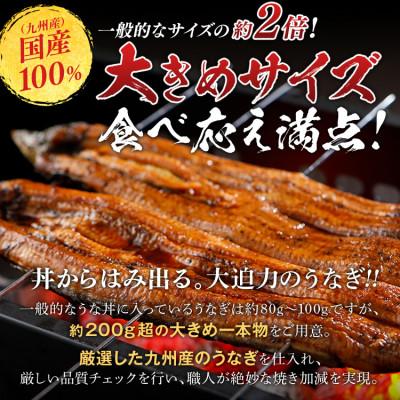 ふるさと納税 田川市 うなぎ蒲焼き 約200g×2尾(田川市)