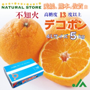 [予約 12月1日-12月20日の納品] デコポン 不知火 5kg 愛媛県産 佐賀県産 熊本県産 ４Ｌ 柑橘 高糖度 みかんの王様 冬ギフト お歳暮 御歳