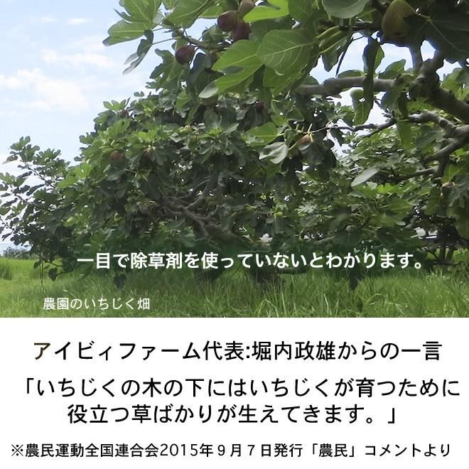 冷凍いちじく 農園の完熟いちじく約2kg 無農薬 無化学肥料栽培