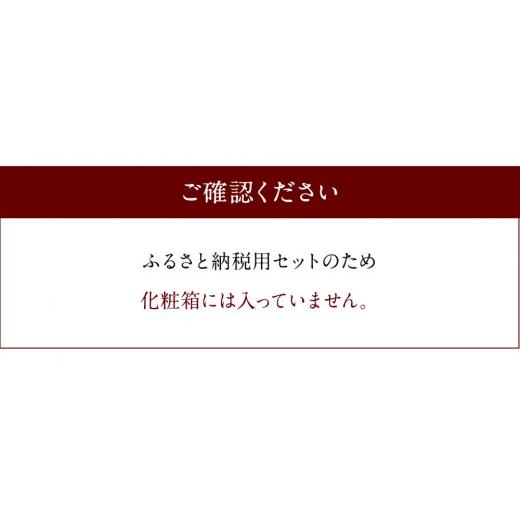 ふるさと納税 福岡県 古賀市 鶏家特選もつ鍋セット2〜3人前（ふるさと納税限定セット）