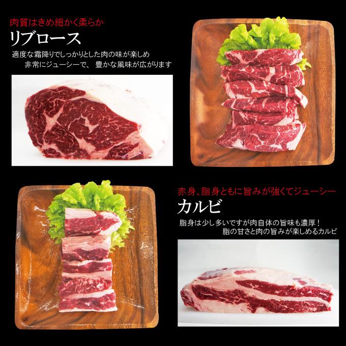 お中元 夏ギフト プレゼント送料無料 嬉しいプレゼントにも牛肉焼肉カルビ食べ比べ５点盛り合わせ　2セット同時購入で肉500ｇ増量中　サーロイン霜降り