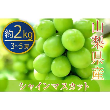 ふるさと納税 『厳選シャインマスカット』3〜5房 約2kg 山梨県産（PJ）B15-144 山梨県甲州市