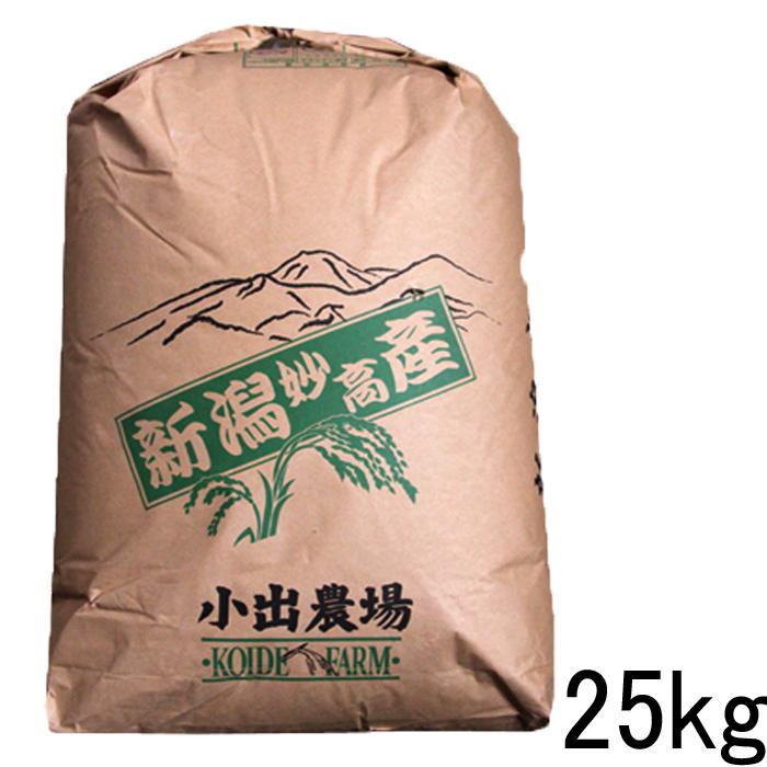 新米 令和5年 訳あり米 25kg 送料無料 令和5年産 新潟産 業務用 米 25kg 送料無料 ブレンド米 白米25kg送料無料 精白米 お得米 安い米25kg お米安い25kg