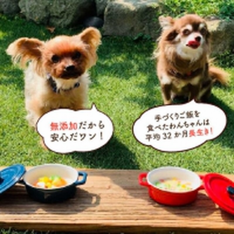 定期便6回 犬の無添加ごはん 具だくさんカレー クリームシチュー ミネストローネ スモークソーセージ入り 各2袋 全6袋 わんこin食堂 Fcg038 通販 Lineポイント最大7 0 Get Lineショッピング