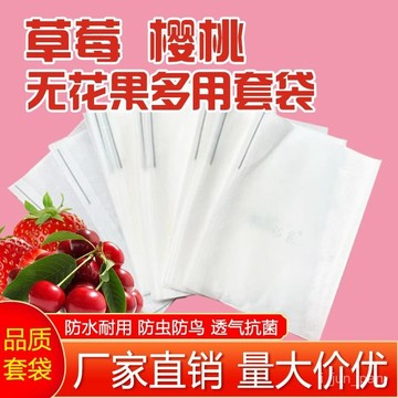 🔥臺灣出貨🔥草莓套袋半透明蠟袋大櫻桃專用袋車釐子西梅無花果防雨防水保護袋
