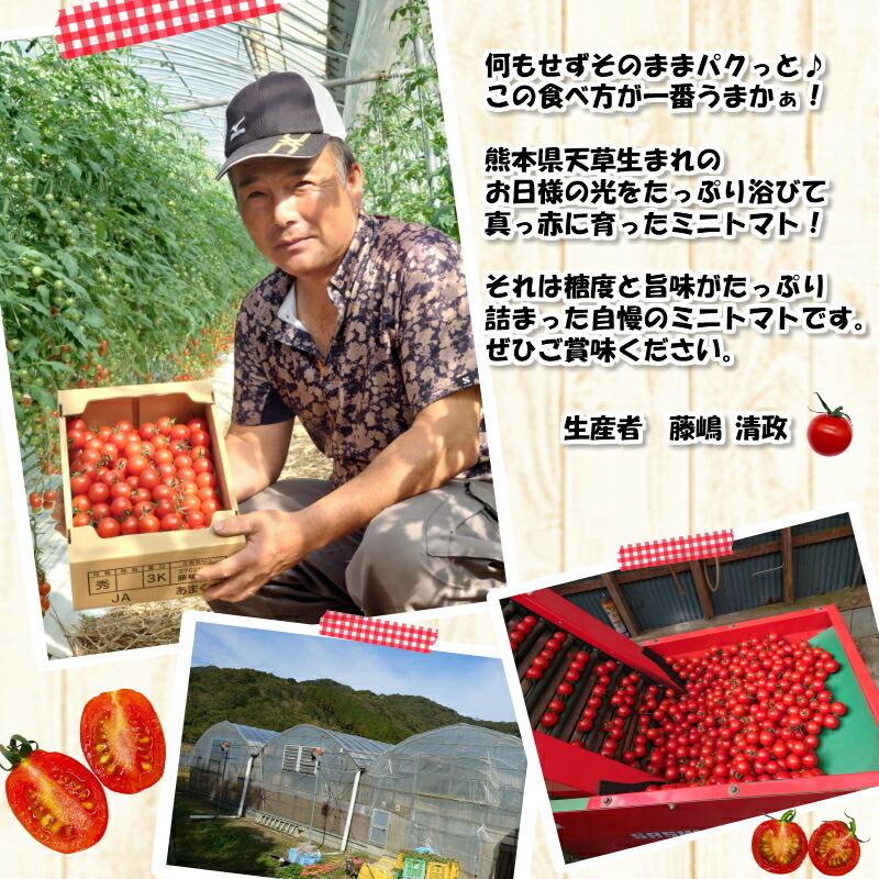 ミニトマト [ルル] 3kg 熊本県産 新鮮 産地直送 甘い お取り寄せ お得 サラダ お弁当 おやつ 糖度8〜10度 美味しい
