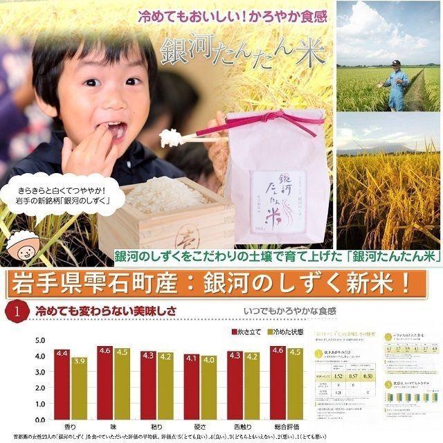 米 岩手県産米 食べ比べ 乾式無洗米 ２Kｇ 袋×２種類比較米 送料無料