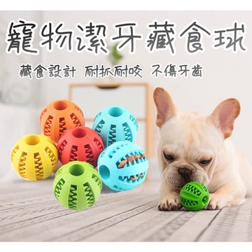 【現貨24H出貨】 寵物潔牙藏食球 寵物潔牙球 寵物藏食球 玩具球 狗狗玩具