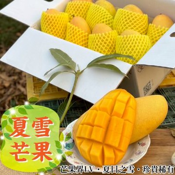 【果農直配】台灣夏雪芒果外銷等級大果14-16入/10斤ｘ1箱