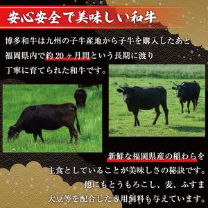 ふるさと納税 博多和牛焼肉用 500g [a0080] 株式会社Meat Plus ※配送不可：離島添田町 ふるさと納税 福岡県添田町