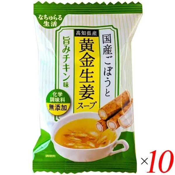 国産ごぼうと高知県産黄金生姜スープ 旨みチキン味 9g 10個セット イー有機生活