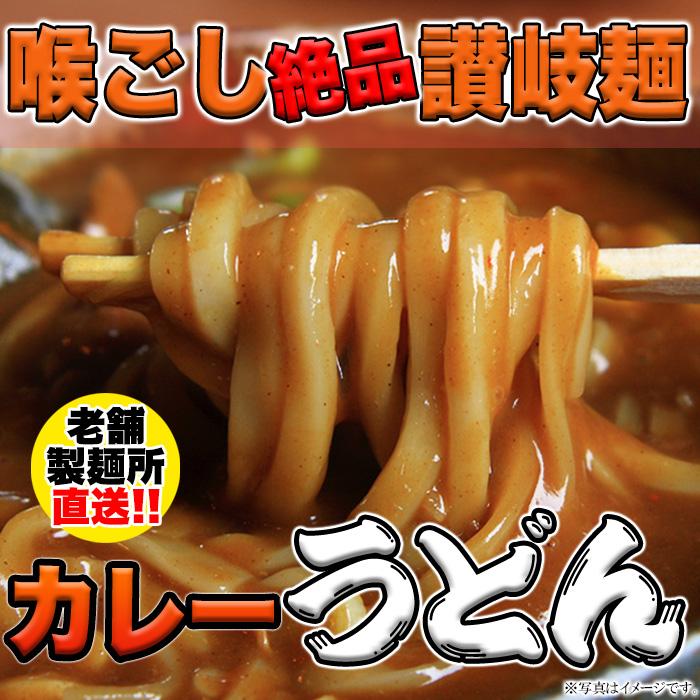 送料無料 讃岐の製麺所が作る、レンジで簡単！辛すぎないスパイシーなカレーうどん レンジ 簡単調理 カレーうどん 国産小麦粉