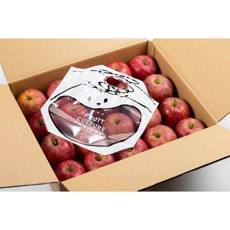 評価 [送料無料] 8-9玉 3kg特秀 ギフト 中玉 人気りんご