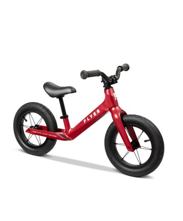 極風號競速平衡車(打氣胎)