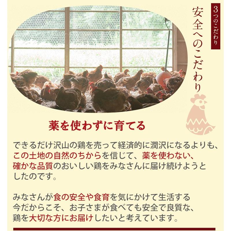 古処鶏　鍋 セット（小）（3〜4人前目安）ご家庭用 こしょどり 天野商店