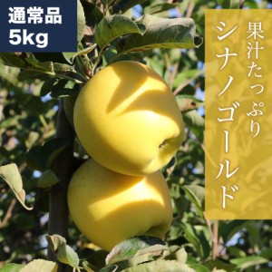 RED APPLE シナノゴールド 約5kg りんご 林檎 果物 フルーツ ギフト 旬