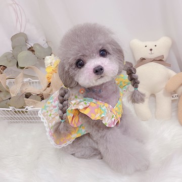 寵物衣服碎花飛袖短款裙子狗狗貓咪夏裝透氣薄款【淘夢屋】