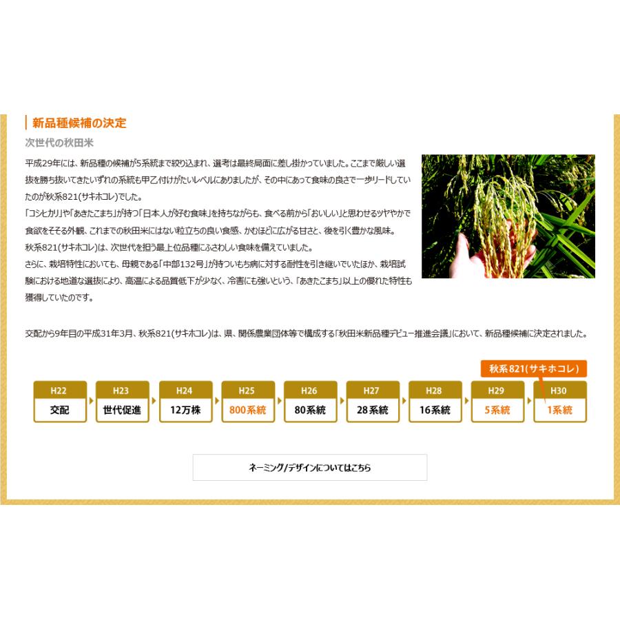 新米 10kg(5kgx2) 秋田県産 サキホコレ 米 令和5年産 白米 内のし対応 贈り物