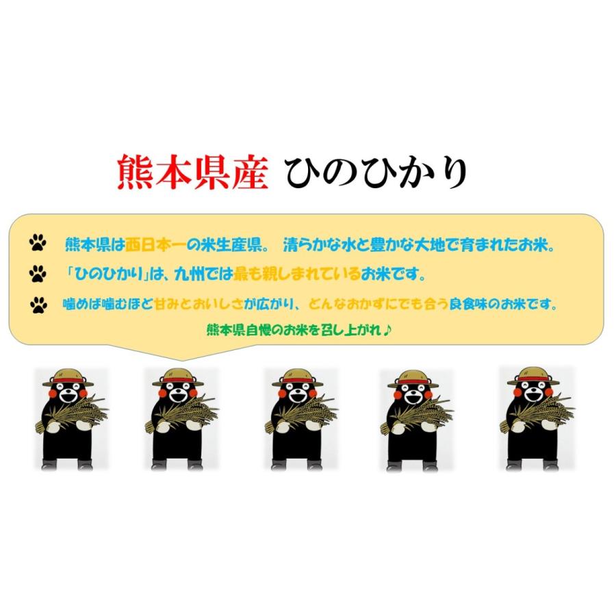 新米　米　お米　３０ｋｇ（５ｋｇ×６）　くまモン　熊本県産　ひのひかり　令和５年産　送料無料