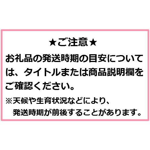 ふるさと納税 青森県 三戸町 りんご12〜18玉（約5kg）