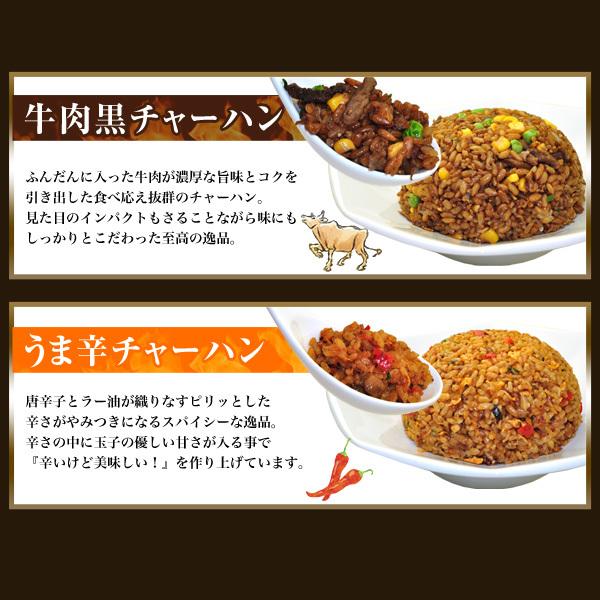 皇朝 チャーハン 炒飯 冷凍 送料無料 送料込み お取り寄せ 食品 グルメ 中華 横浜中華街 4種チャーハン満足セット