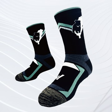 【台灣熊厚系列】銀纖維極致速乾美麗諾羊毛登山襪 -單雙| M/L/XL