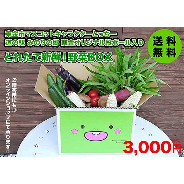 野菜詰め合わせ 道の駅 みのりの郷東金 とれたて新鮮野菜BOX オリジナル段ボールでお届け とっちー