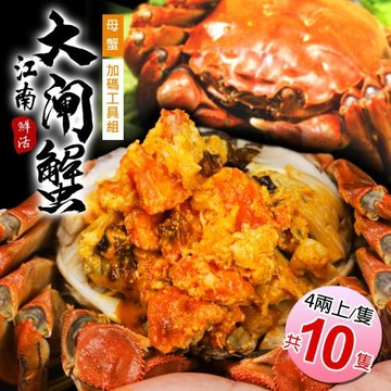 築地一番鮮-母4兩上大閘蟹 10隻/贈工具組/江南大閘蟹