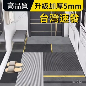 台灣出貨 家用玄關腳墊玄關地毯 進門地墊 大門地墊門墊 門口地墊玄關地墊 刮泥地墊地墊玄關 進門大門口門墊 防滑墊可定制
