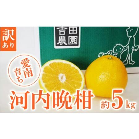 ふるさと納税 先行予約 2024年4〜6月定期便 訳あり 河内晩柑 5kg 3回 旬 お届け 訳あり 河内晩柑 国産 柑橘 果物 果実 訳あり 河内晩柑 フルーツ.. 愛媛県愛南町