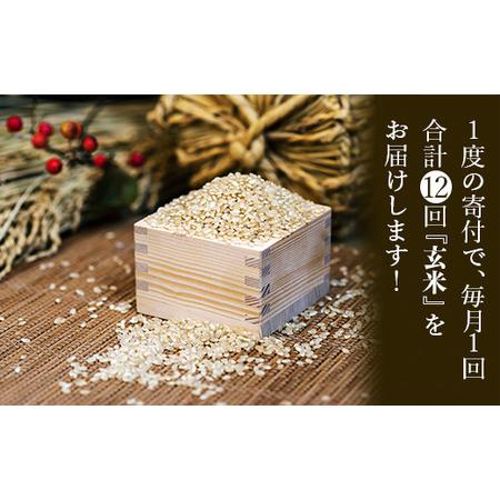 ふるさと納税 藤子ばぁちゃんのまごころ米玄米 5kg×12回（毎月） 144002 石川県小松市