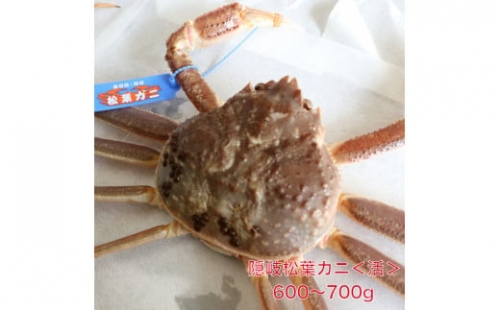 隠岐松葉カニ600～700g〈活〉