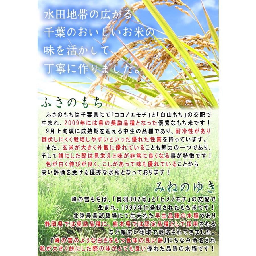 メーカー直送 厳選生切り餅 約400g×2袋 千葉県産 国内産水稲もち米を100%使用！老舗農家が栽培から加工まで手掛けたこだわりの味と品質