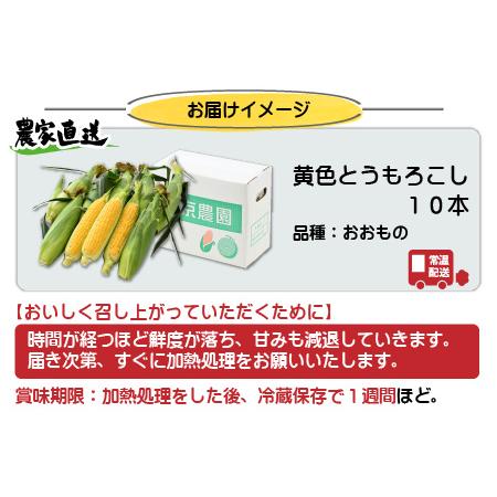 ふるさと納税 朝採り スイートコーン 黄色 計10本 おおもの ／ ハウス栽培 低農薬 有機肥料 フルーツ並みの甘さ 甘い とうもろこ.. 福井県あわら市