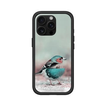 iPhone 16 Pro Mod NX 黑 - Julien Tabet - 水鳥