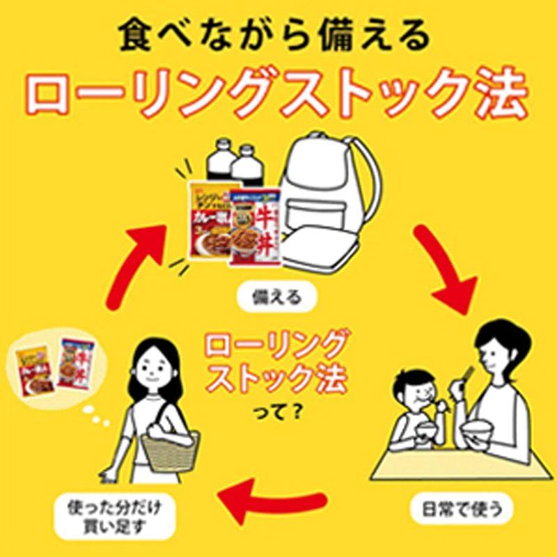 江崎グリコ 常備用カレー職人中辛 (常備用・非常食・保存食) 170g ×10個