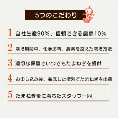 ふるさと納税 淡路市 淡路島たまねぎ 歩-AYUMU- 5kg