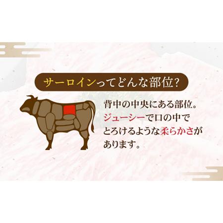 ふるさと納税 飛騨牛 サーロインステーキ 400g×2枚 国産 和牛 牛肉 焼肉 お取り寄せ   [MBE021] 岐阜県土岐市